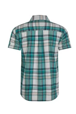 Judd Short Sleeve Check Shirt White -Everyday Luxe 118953