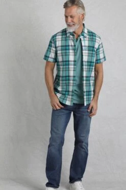 Judd Short Sleeve Check Shirt White -Everyday Luxe 119314