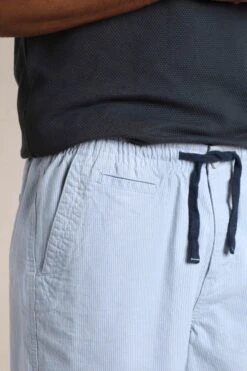 Dewey Stripe Shorts Ecru 13 Dewey Stripe Shorts Ecru -Everyday Luxe 119965