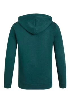 Jamie Branded Popover Sweatshirt Hoodie Forest Green -Everyday Luxe 119990