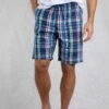 Manson Madras Check Shorts Estate Blue 2 Manson Madras Check Shorts Estate Blue -Everyday Luxe 122113