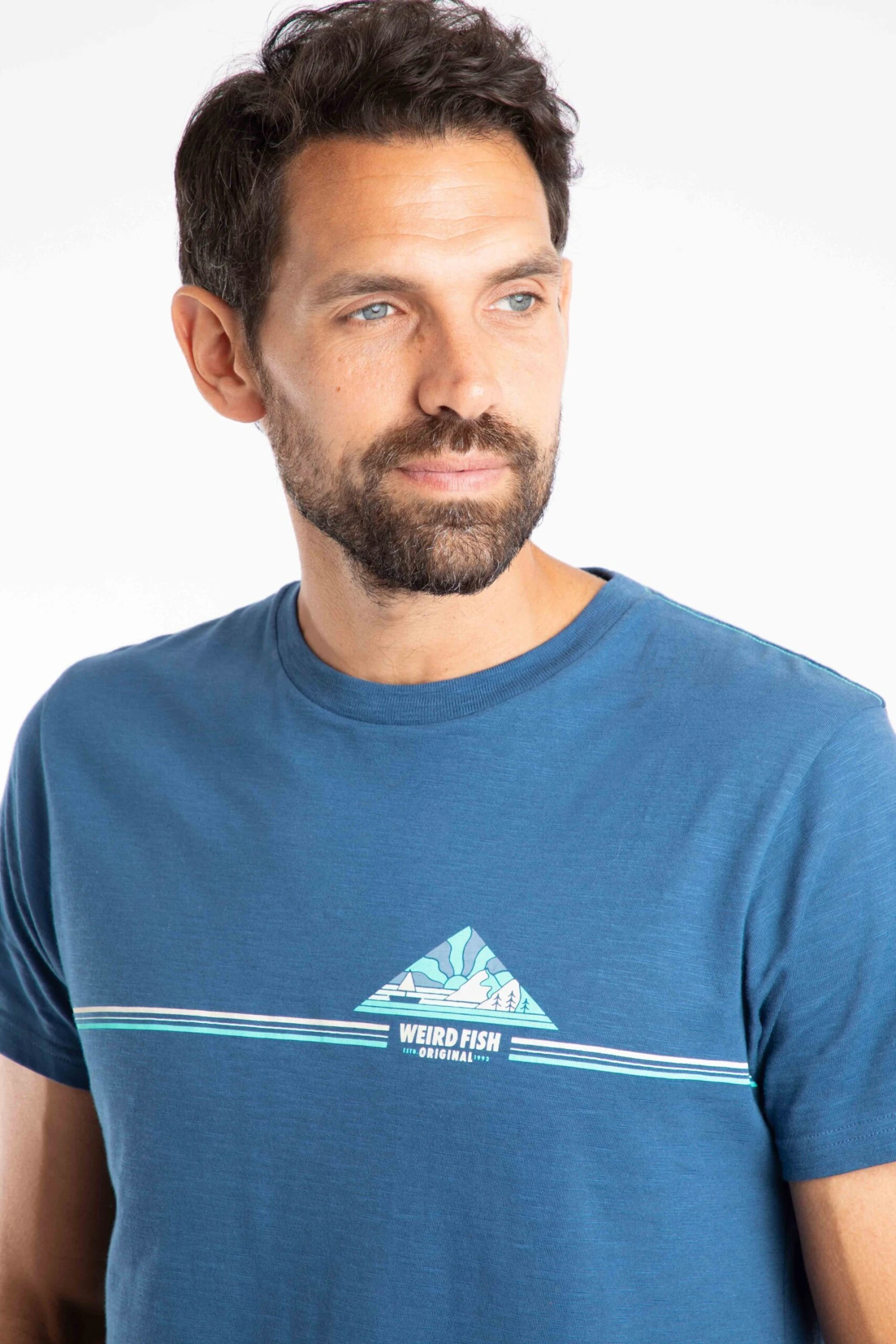 Pyramid Vista Chest Stripe Graphic T-Shirt Ensign Blue 7 Pyramid Vista Chest Stripe Graphic T-Shirt Ensign Blue - Image 5