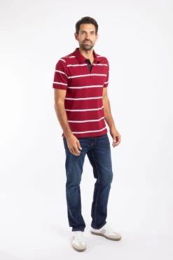 Fabian Organic Cotton Striped Pique Polo Garnet -Everyday Luxe 129289